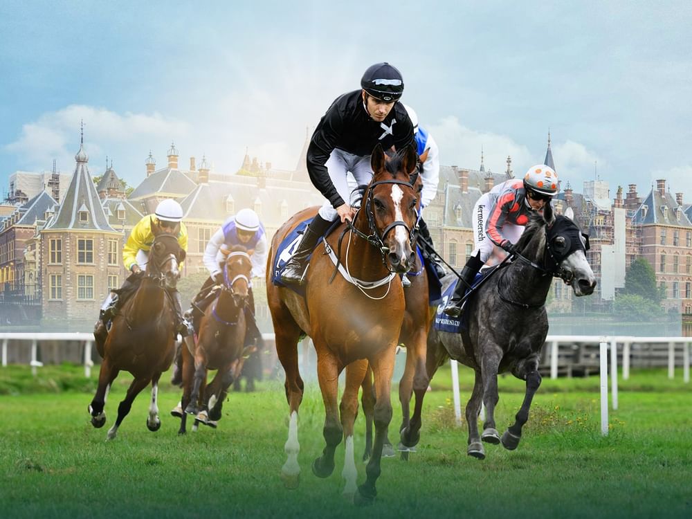 Eleven horses line up in Netherlands for 8th leg of UAE President’s Cup for Purebred Arabian Horses