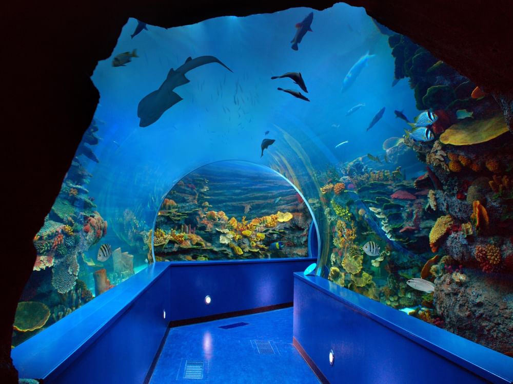   "صيف الشارقة".. تجارب ثقافية وترفيهية متكاملة في وجهات استثنائية