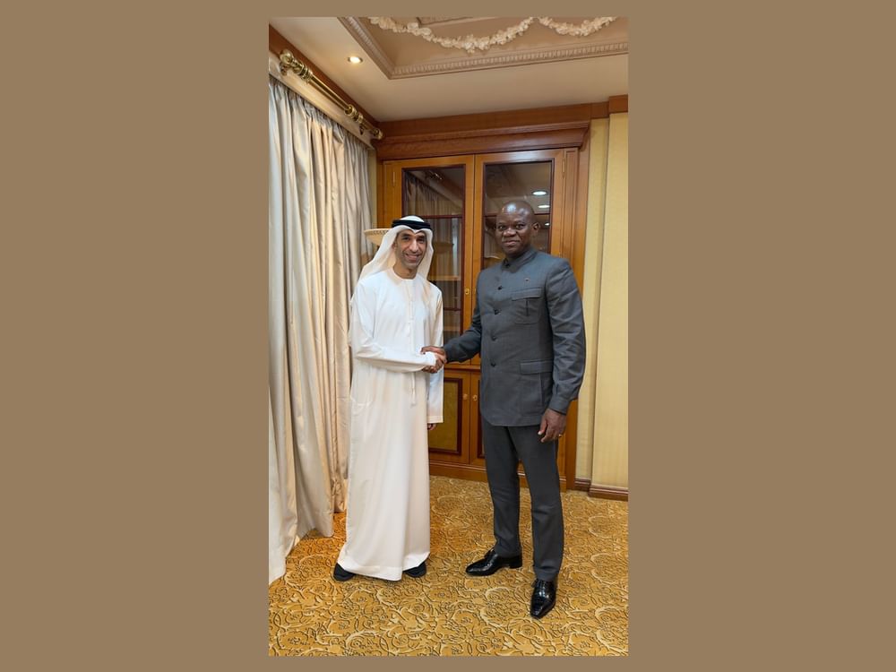 UAE, Gabon discuss deepening economic cooperation