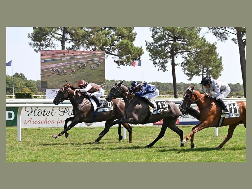 Le poulain « Mahrous » remporte le Prix Aka en France