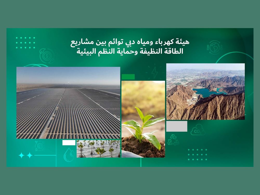 DEWA aligns clean energy projects with environmental stewardship