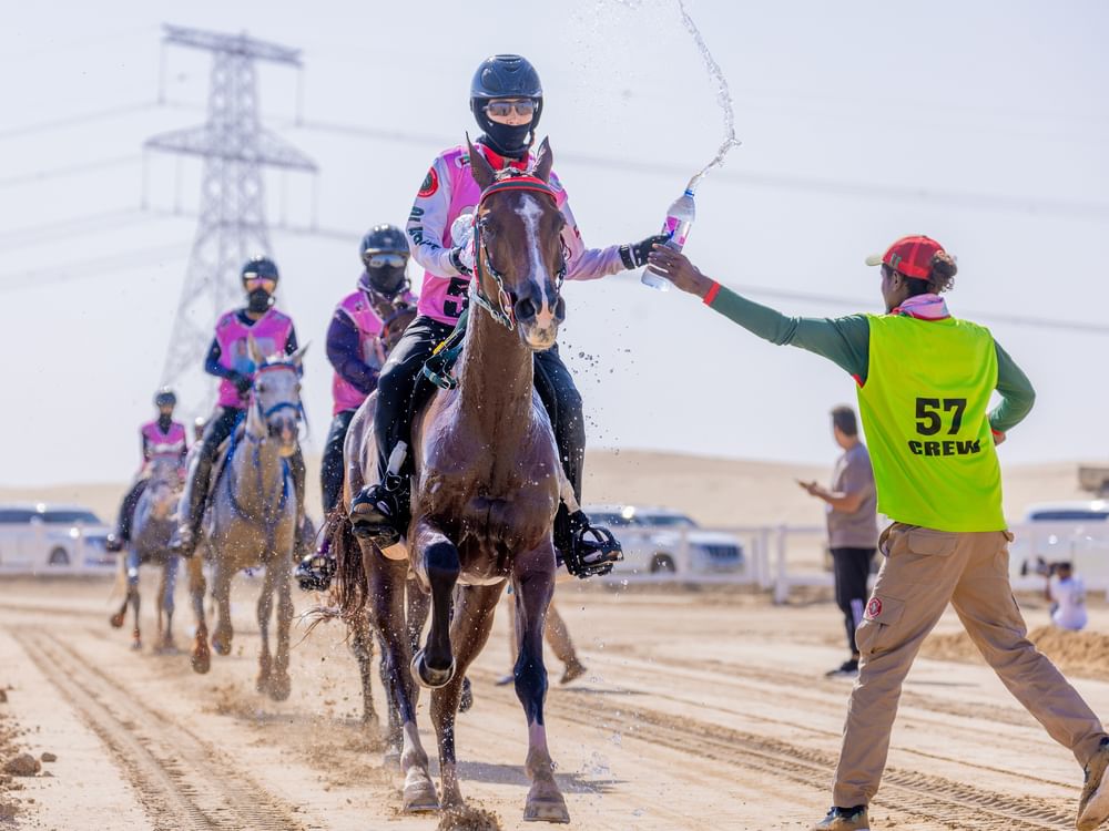 سباق فاطمة بنت منصور للقدرة ينطلق غداً بالوثبة 