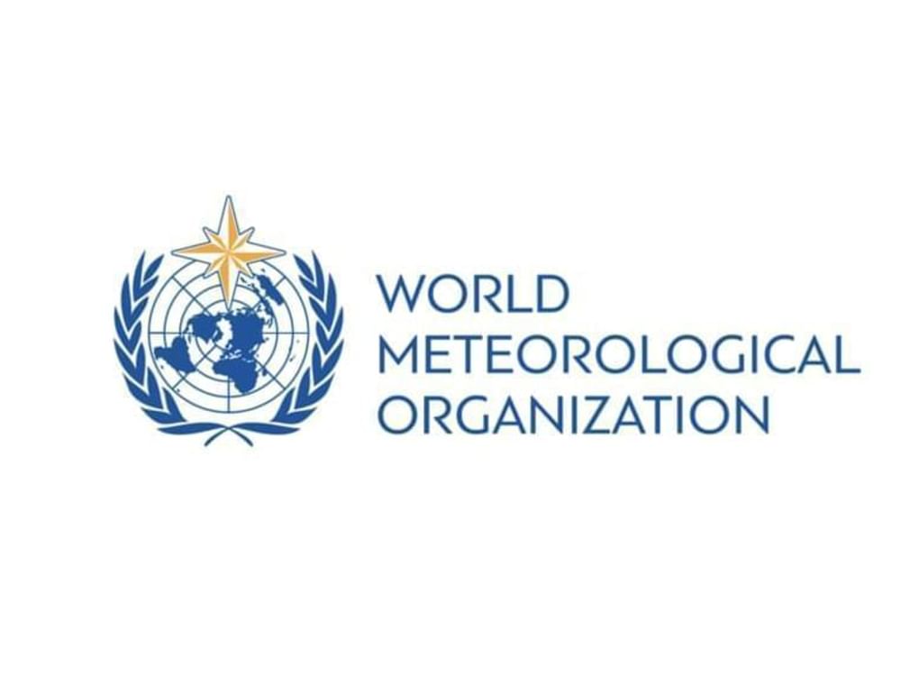 WMO warns El Niño could be strongest in four decades