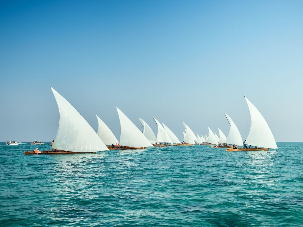 سباق مهرجان الشيخ زايد للبوانيش الشراعية ينطلق السبت المقبل
