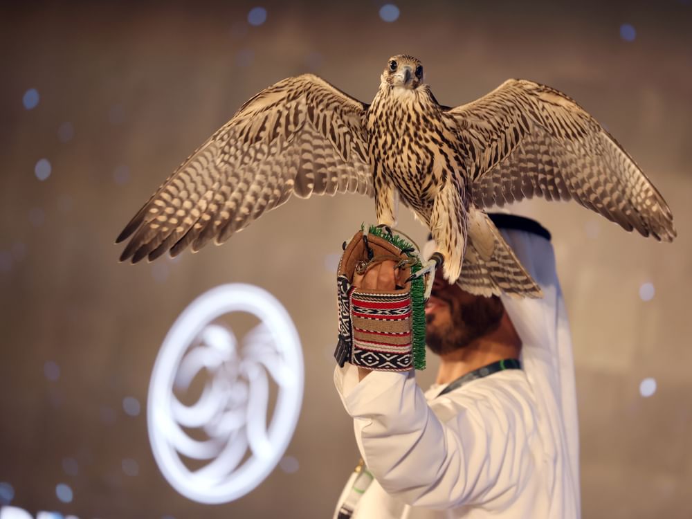 "أبوظبي للصيد والفروسية" .. منصة تراثية وثقافية مبتكرة