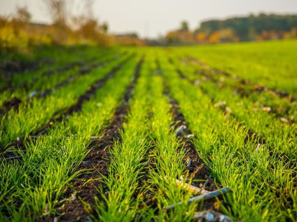 Mohamed bin Zayed Water Initiative announces qualifying teams for next stage of competition to advance agricultural water solutions