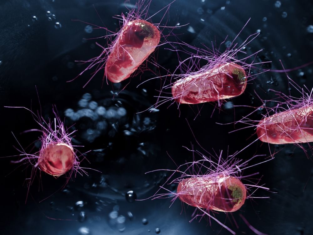 علماء بريطانيون يطورون سلالة بكتيرية جديدة معدلة جذريا