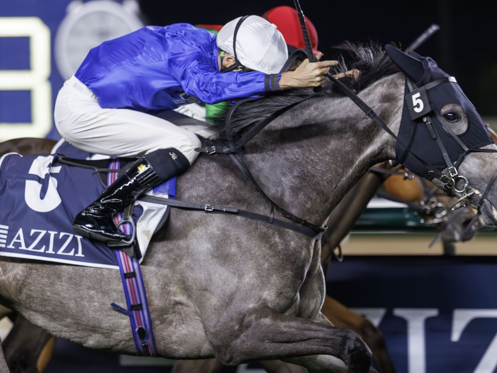 "ميدان" يستضيف سباقات حاسمة نحو كأس دبي العالمي وكنتاكي ديربي