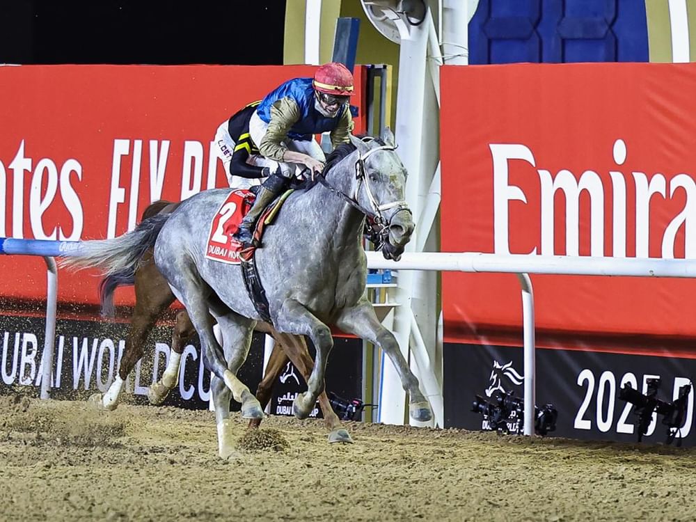 'Hit Show' wins $12 million Dubai World Cup