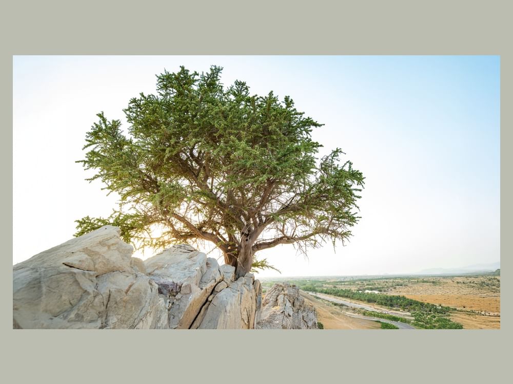 EAD partners with M42 to conduct plant genome sequencing to safeguard native species