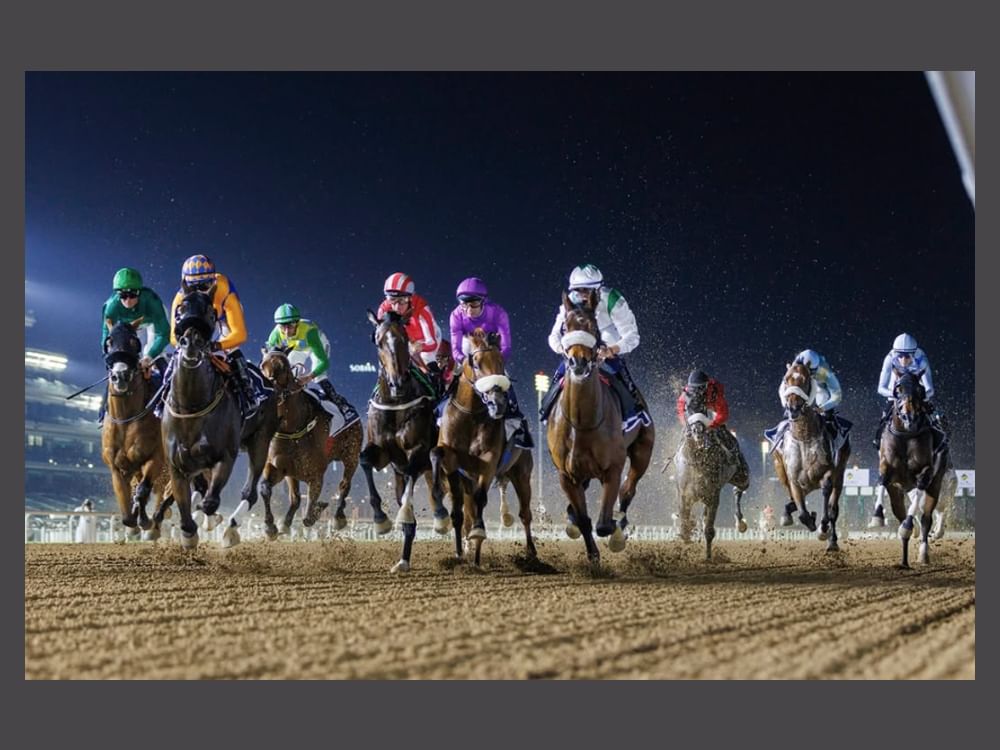 8 أشواط بأمسية "فستيف فرايداي" بمضمار "ميدان" بعد غد