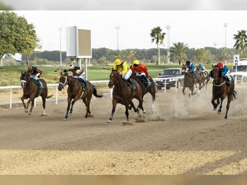 نادي العين للفروسية يستضيف السباق الـ7 بمشاركة 135 خيلا غدا