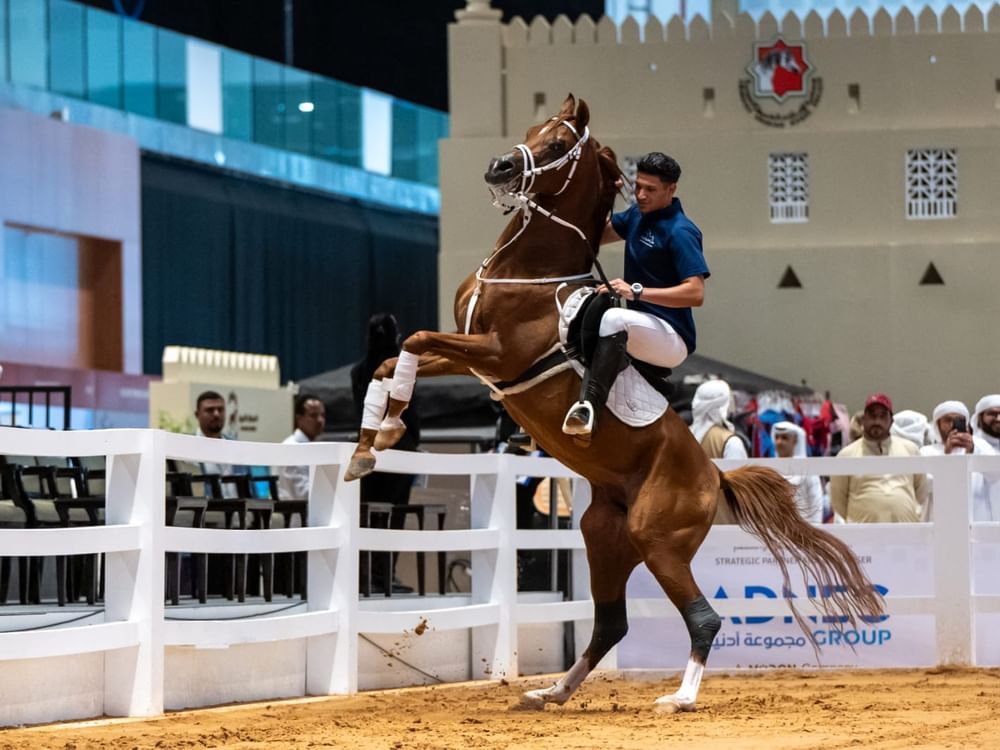 ADIHEX 2026 showcases heritage, equestrian sports on eighth day