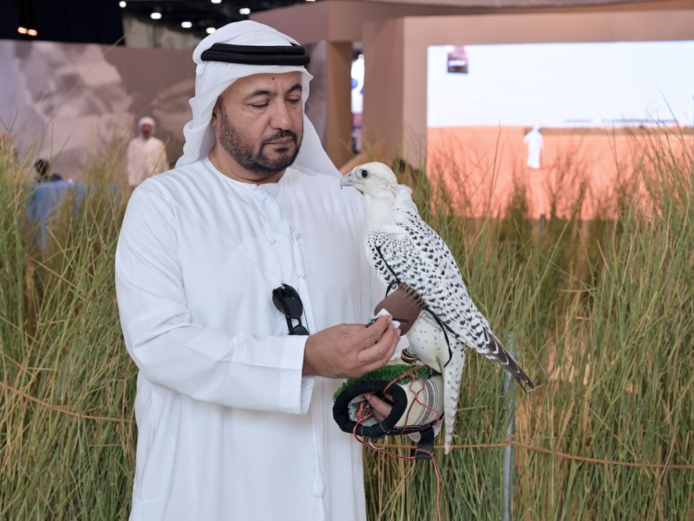 "أبوظبي الدولي للصيد والفروسية" يطلق فعاليات مبتكرة  