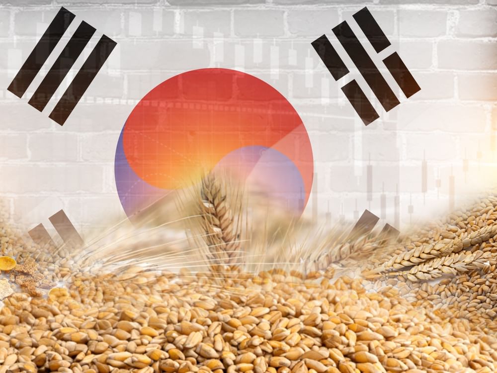 Korea agricultural, food exports reach US$10.2 billion in 2025