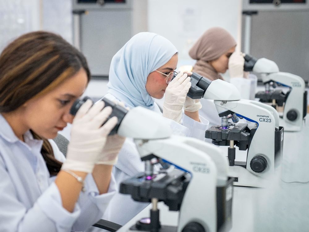 Ajman University ranks 5th in UAE overall, 2nd globally in international collaboration research indicator