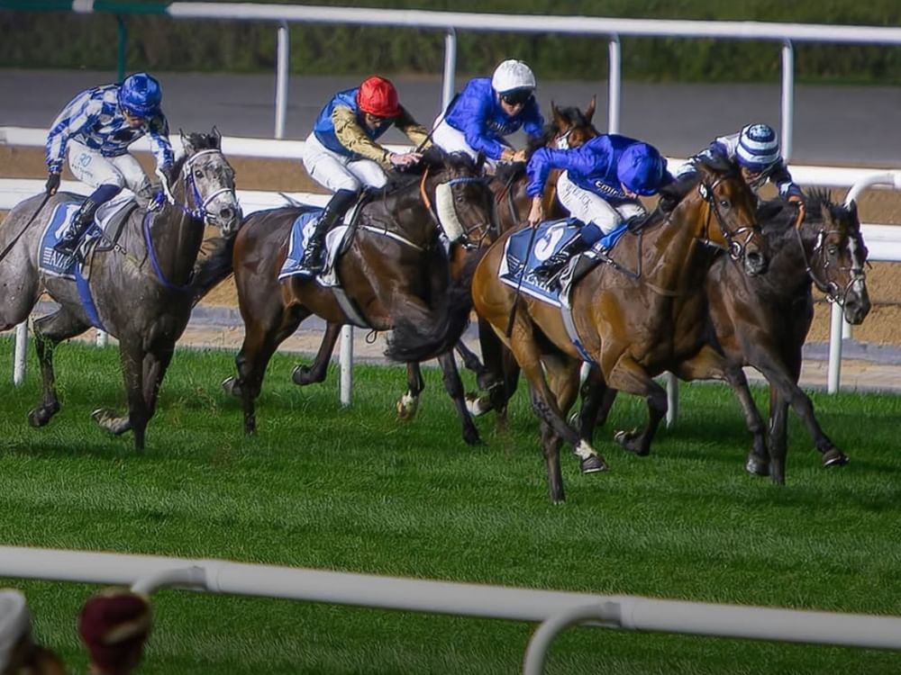 "ميدان" يستضيف غداً الأمسية الـ8 لكرنفال سباقات دبي بمشاركة 134 خيلاً