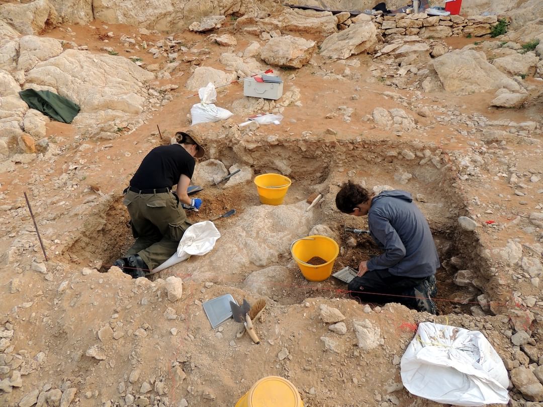 الشارقة تفتح باب الترشح لـ"منحة الفاية للبحوث" لدعم علوم التراث الثقافي والبحث العلمي