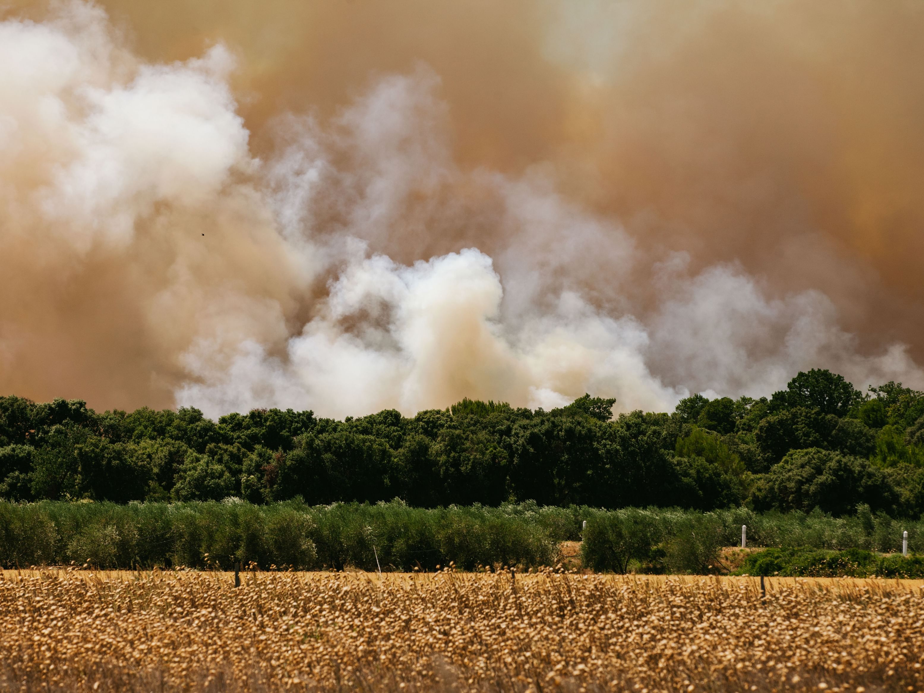 10,000 evacuated as wildfires spread in France