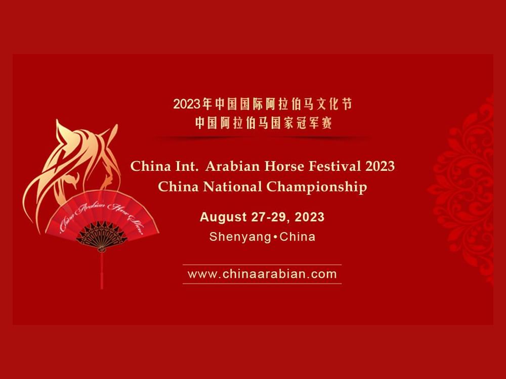 中国国际阿拉伯马文化节将于8月开幕，其中包括阿联酋的参与