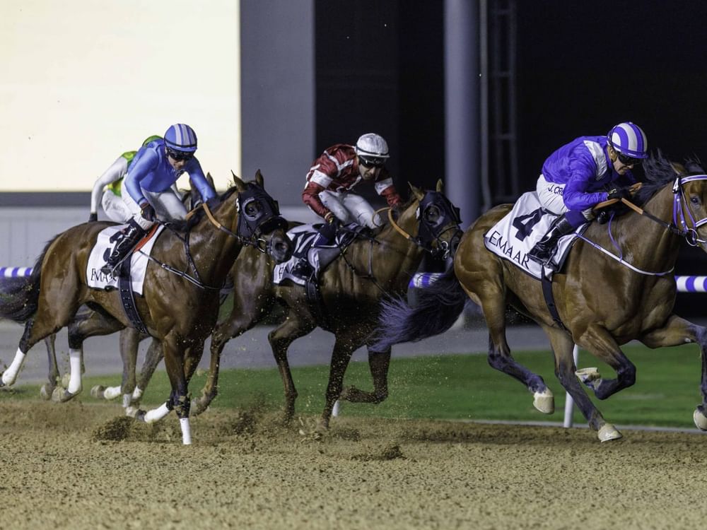 111 خيلا تتنافس في الأمسية الـ"10" لكرنفال سباقات دبي على مضمار "ميدان"