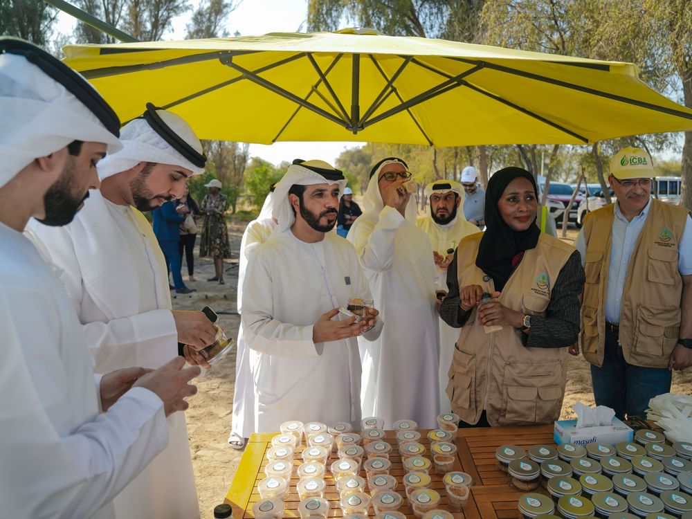 ICBA organises 'Millets Harvest Day' to support adoption of climate-smart crops in UAE