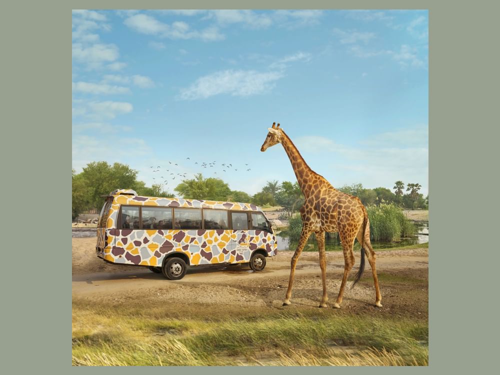 Le Dubai Safari Park devient membre de la WAZA et renforce ses engagements mondiaux