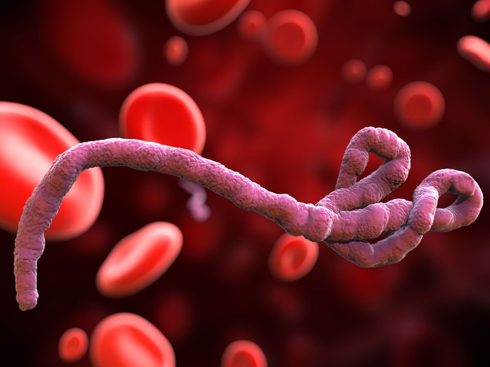 139 Ebola deaths, 600 infections recorded in DRC: WHO