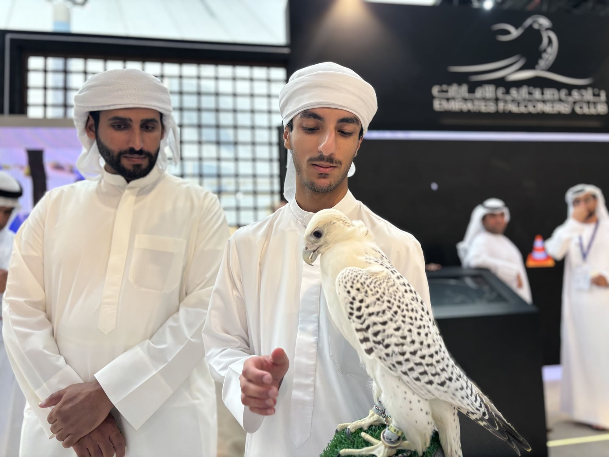 "صقاري الإمارات" يوفر تجارب تراثية غنية في "العين الدولي للصيد والفروسية"