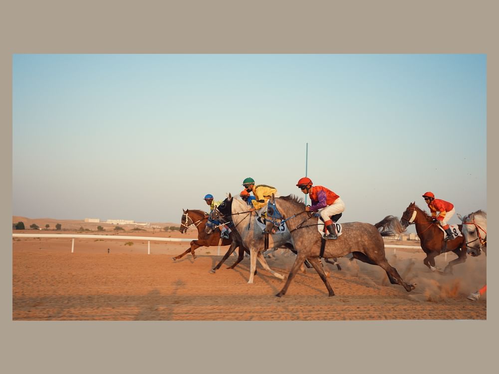 'Al Habeeb' wins first race at Purebred Arabian Horse Race in Al Dhafra