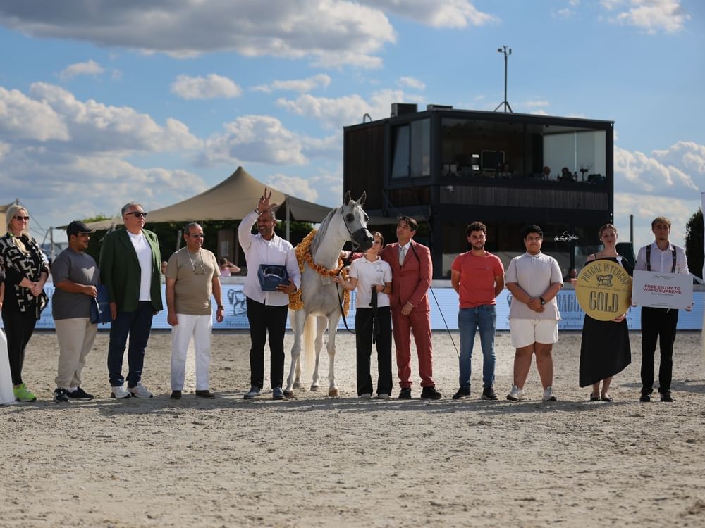 خيول مربطي دبي والبداير تتألق في بطولة براغ الدولية لجمال الخيل العربية