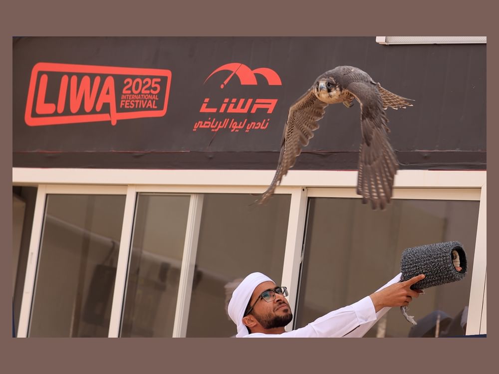 اختتام منافسات سباقات الصقور بمهرجان ليوا الدولي