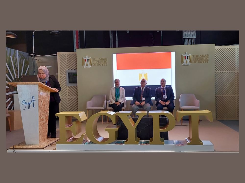 Egyptian Pavilion at COP28 hosts session on food security in light of climate change