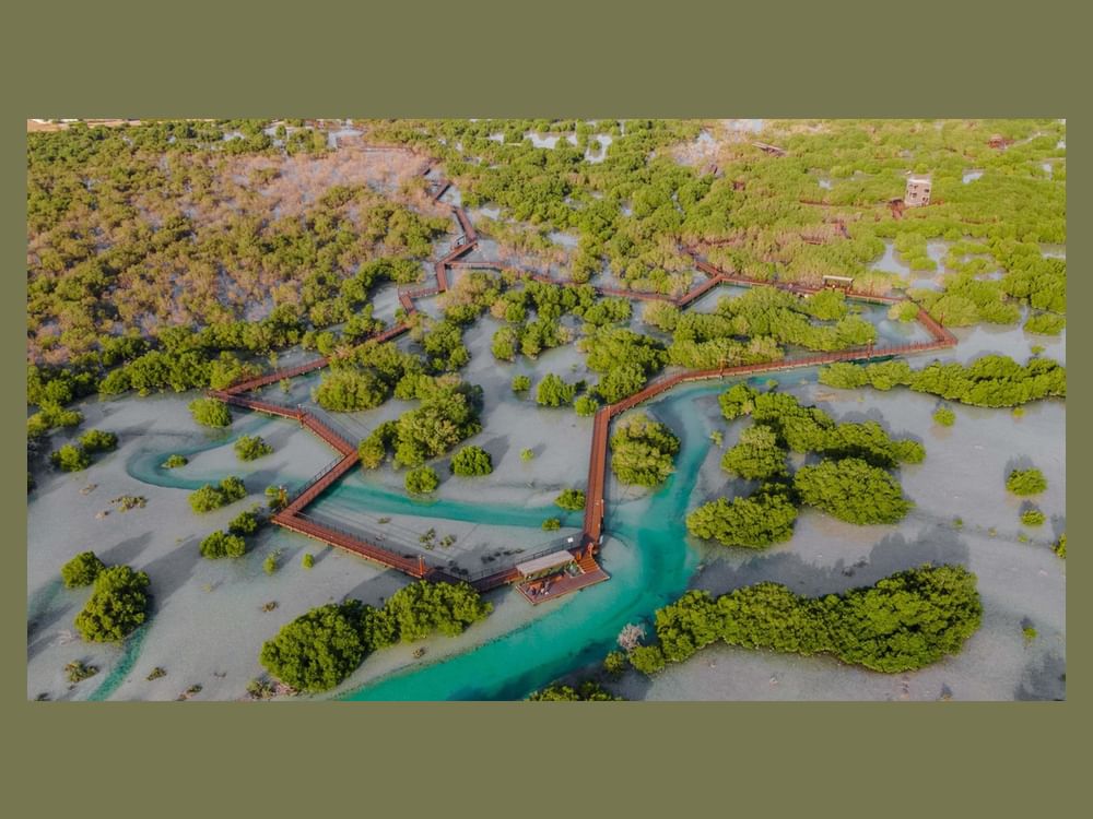 هيئة البيئة – أبوظبي تطلق مبادرة "حمدان بن زايد لأغنى بحار العالم" لمضاعفة المخزون السمكي ودعم الأمن الغذائي