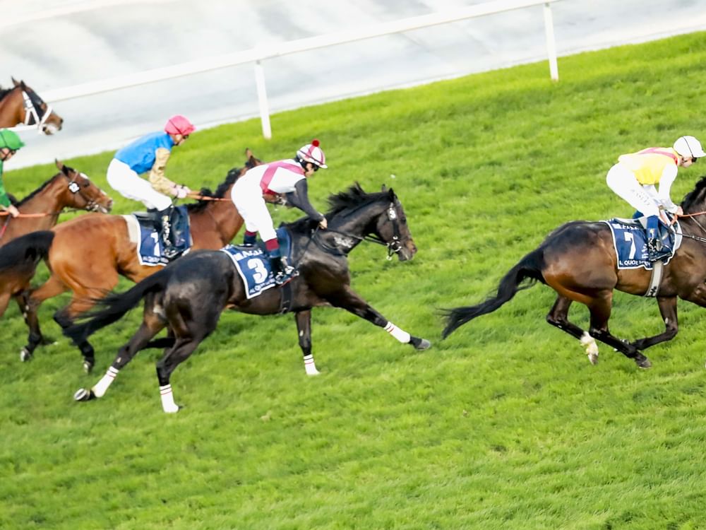 Dubai World Cup: Popular win for Emirati speedster Native Approach in Al Quoz Sprint