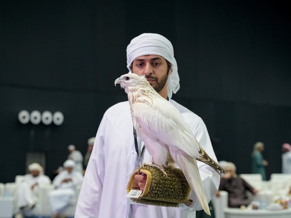 منافسات قوية في مزاينة الصقور بمهرجان الظفرة وتتويج الفائزين