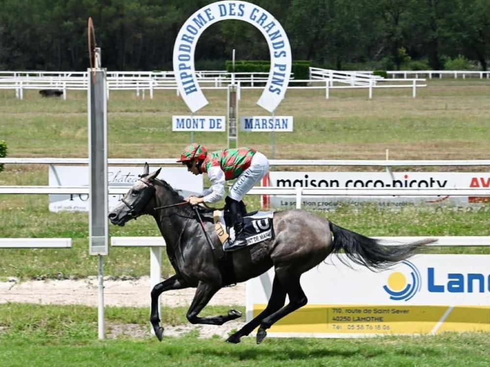 " خيول ياس" تحقق ثنائية في فرنسا