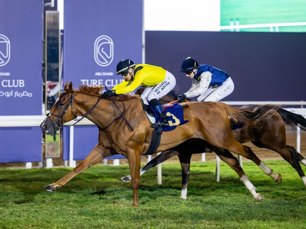 "نخبة الخيول" تتنافس على لقب سباق كأس أبوظبي الذهبي غدا