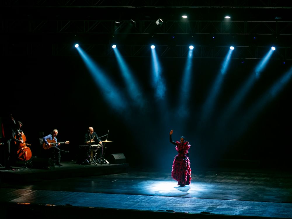‘Andalusia: History and Civilisation’ initiative committee concludes ‘Flamenco Night’