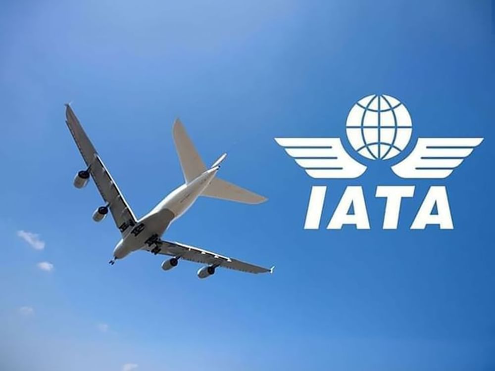 国际航协:2025年全球航空货运业有望实现5.5%增长