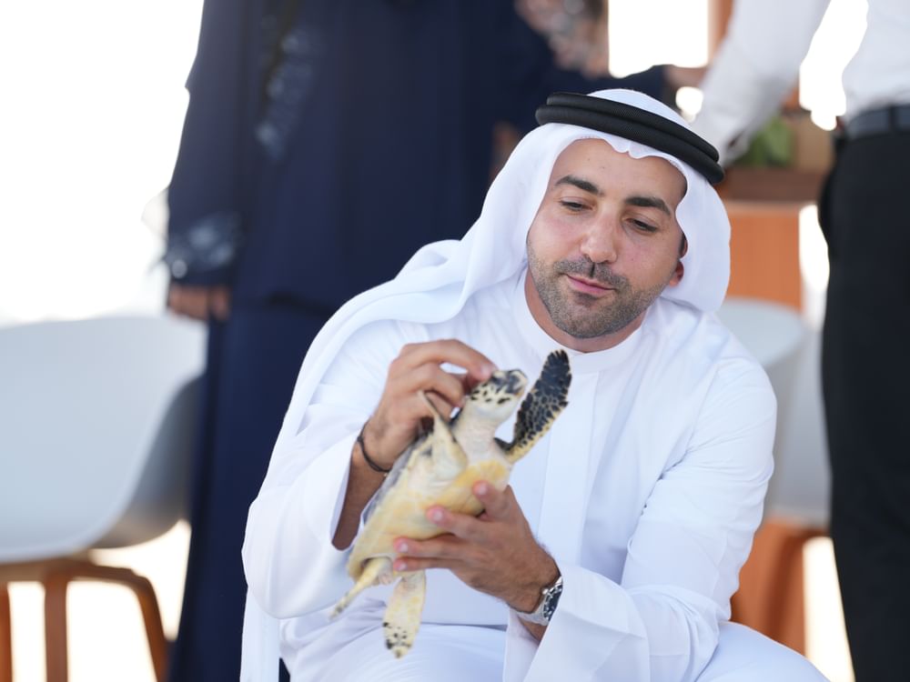 رئيس دائرة السياحة والآثار  يشهد إطلاق اثنتين من السلاحف البحرية بخور أم القيوين 