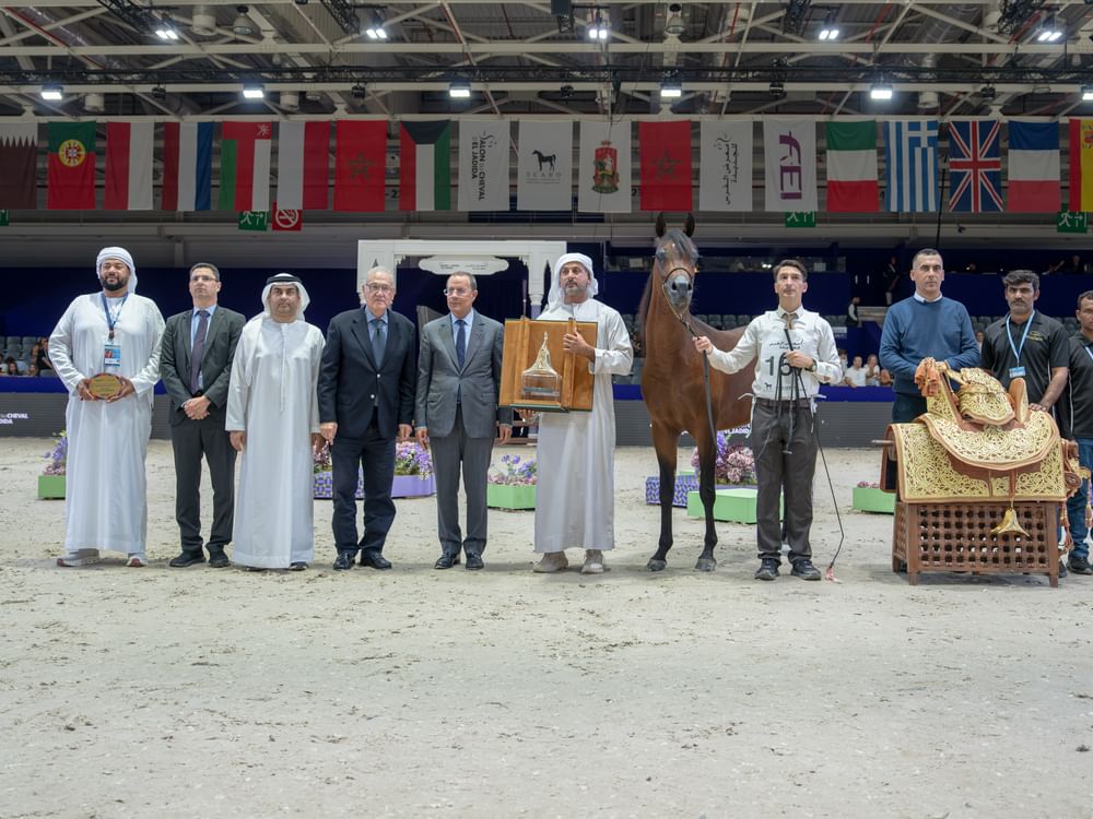 المرابط الإماراتية تحصد 12 لقباً في بطولة المغرب الدولية لجمال الخيل العربية