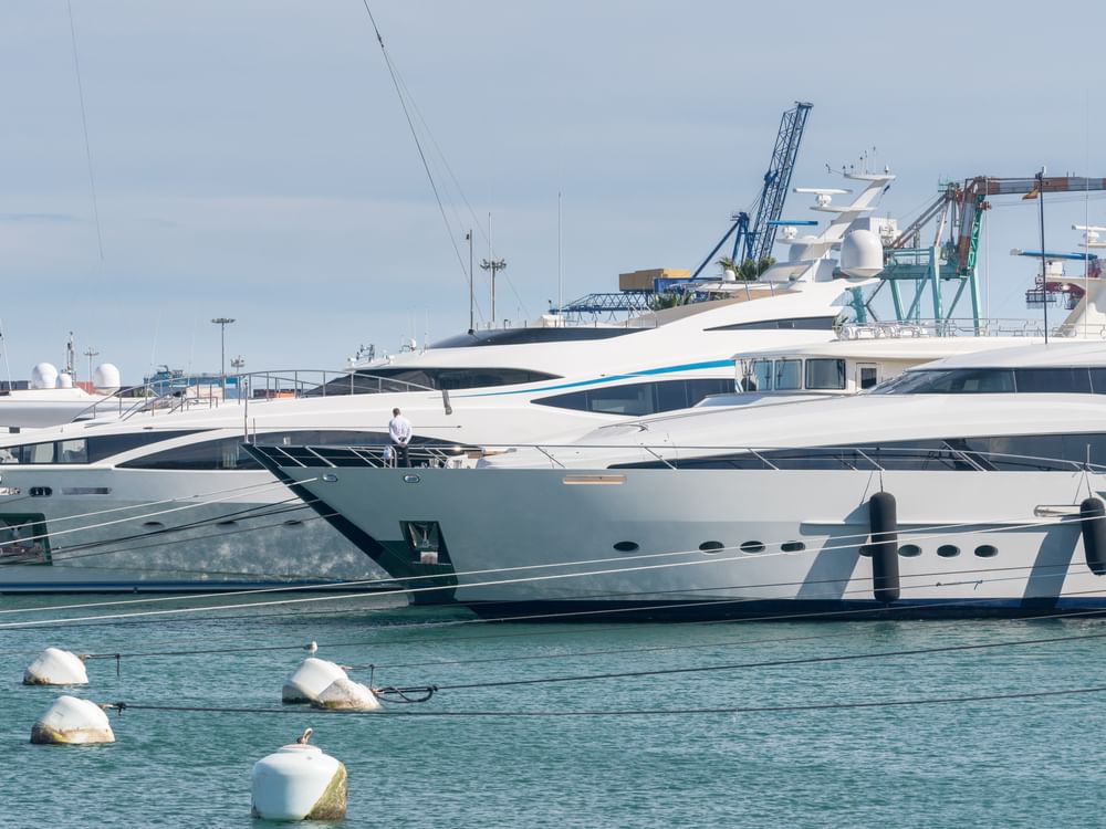 Dubai Maritime Authority launches regulatory initiative to boost leisure anchoring practices and navigational safety