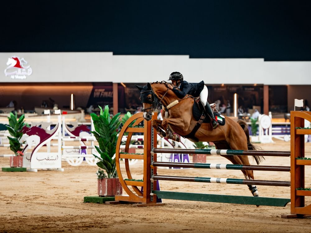 الإمارات تحرز ذهبيتين وبرونزية في نهائي المجموعة الإقليمية السابعة لقفز الحواجز