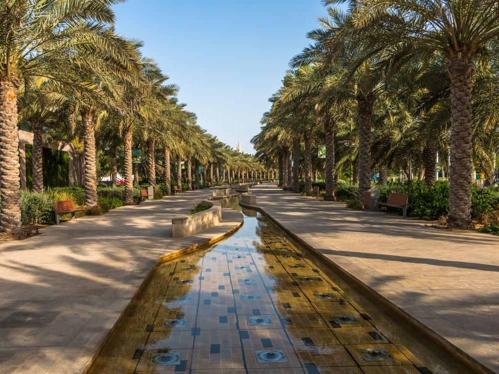 Umm Al Emarat Park welcomes more than 410,000 visitors during 2025–2026 season