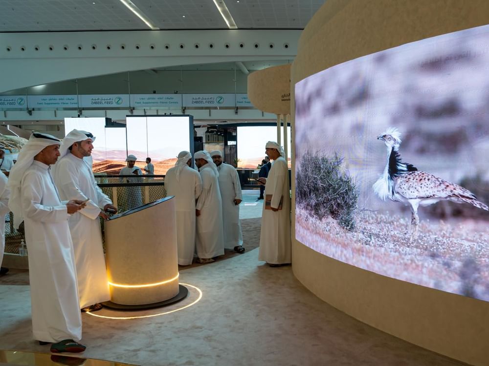 الصندوق الدولي للحفاظ على الحبارى يشارك بجناح مميز في معرض الصيد والفروسية