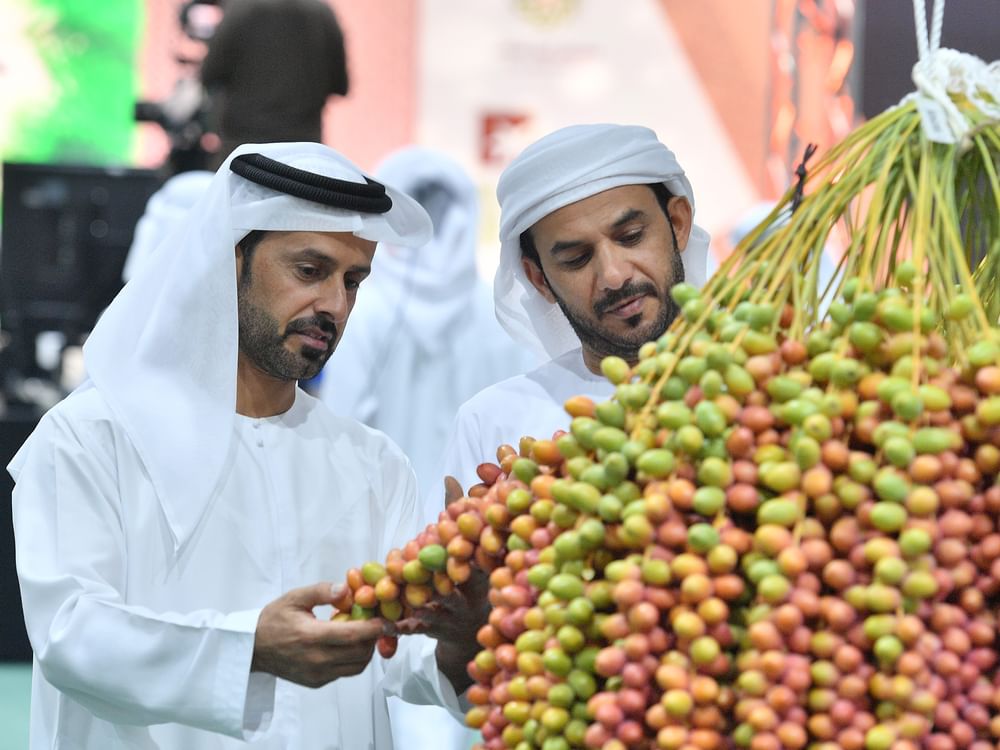 El Festival de la Palmera Datilera de Liwa celebrará su 21.ª edición a partir del 14 de julio bajo el patrocinio de Mansour bin Zayed