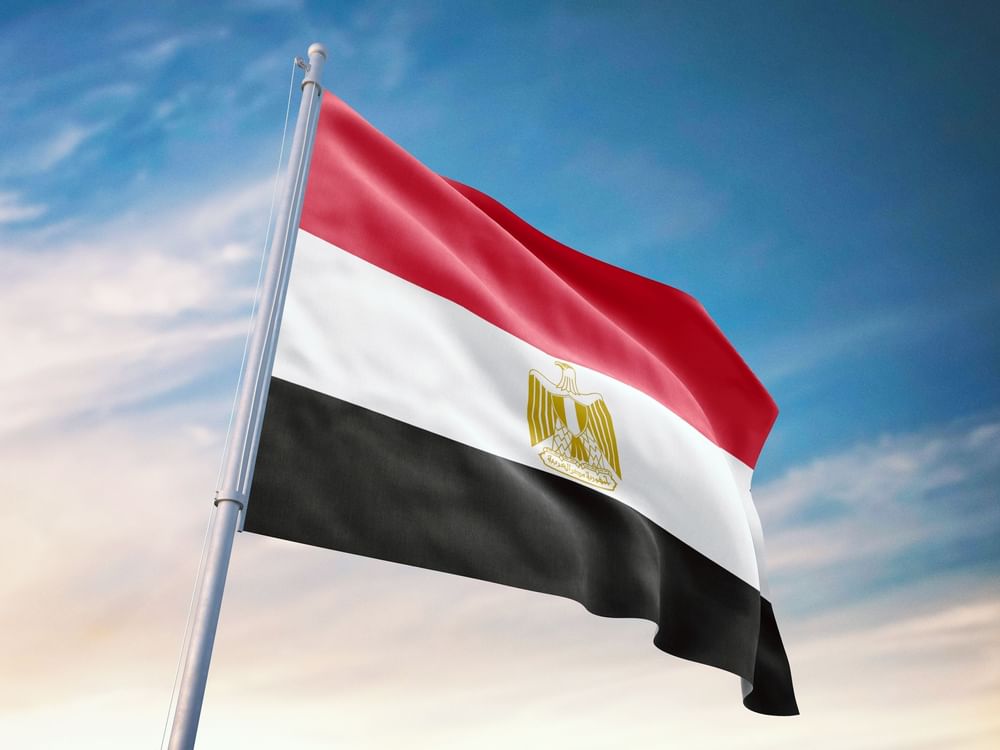 مسؤول مصري ينفي إجراء اتصال بين الرئيسين المصري والأمريكي