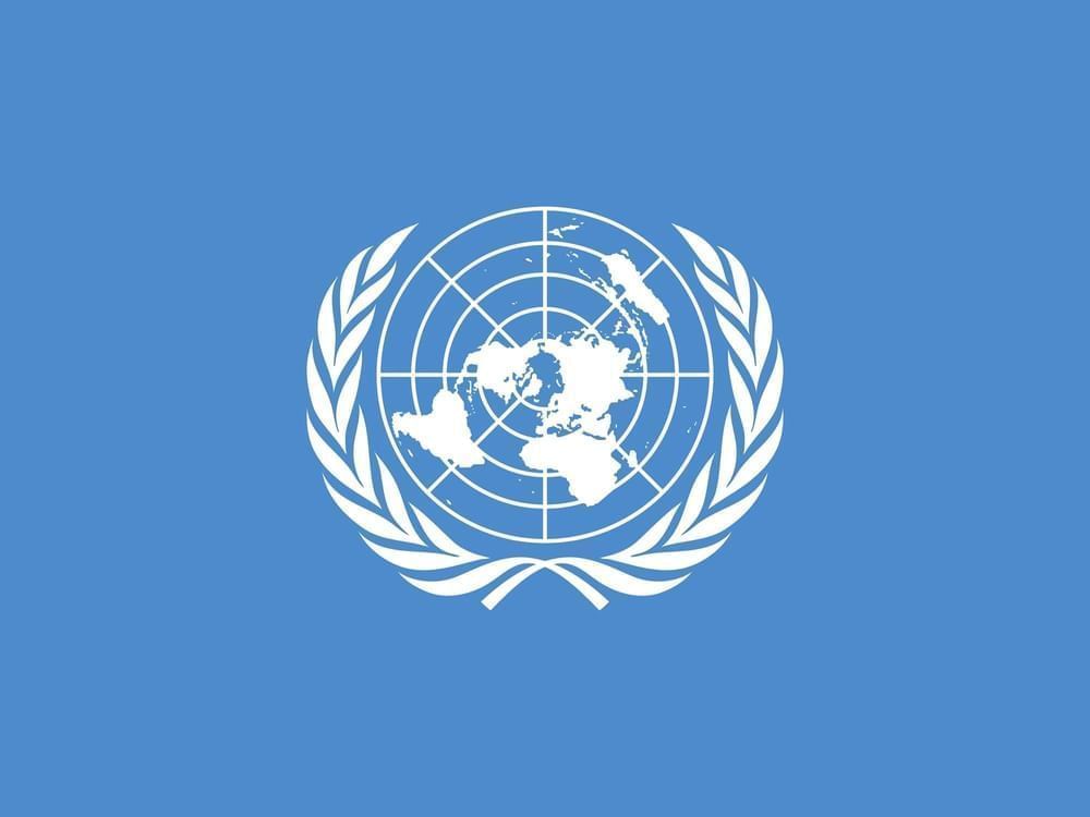 UN: 798 people killed in Gaza while trying to access aid