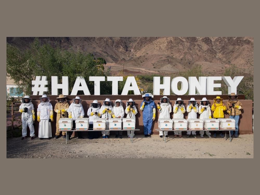 Atividades comunitárias no Festival de Inverno de Hatta oferecem exploração criativa e experiências de aventura